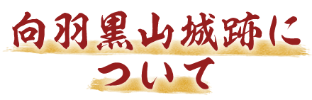 向羽黒山城跡について