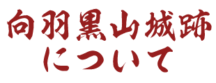 向羽黒山城跡について